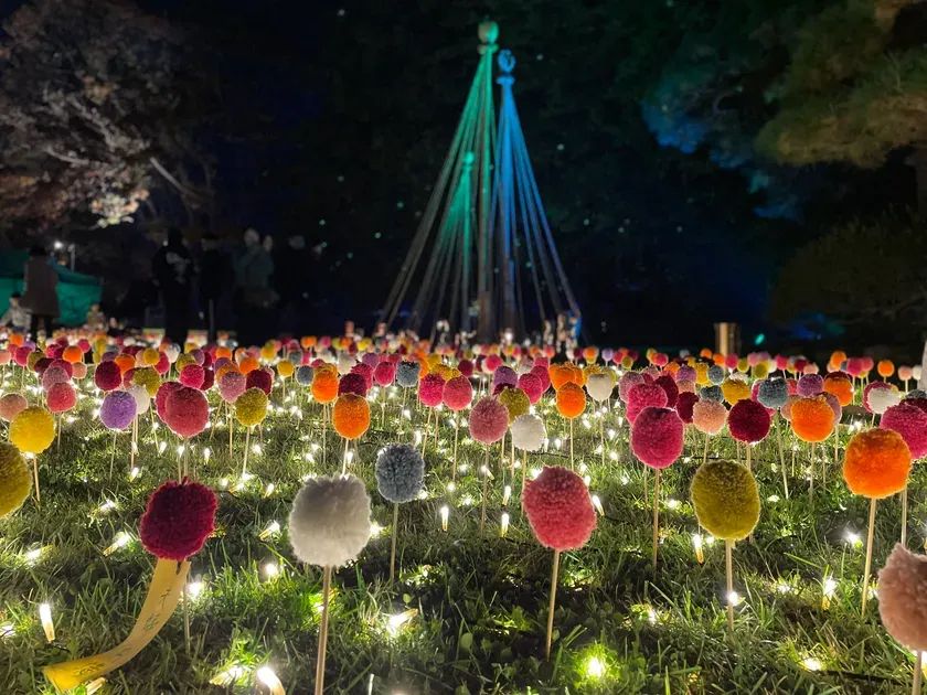 ぽんぽんマムの庭