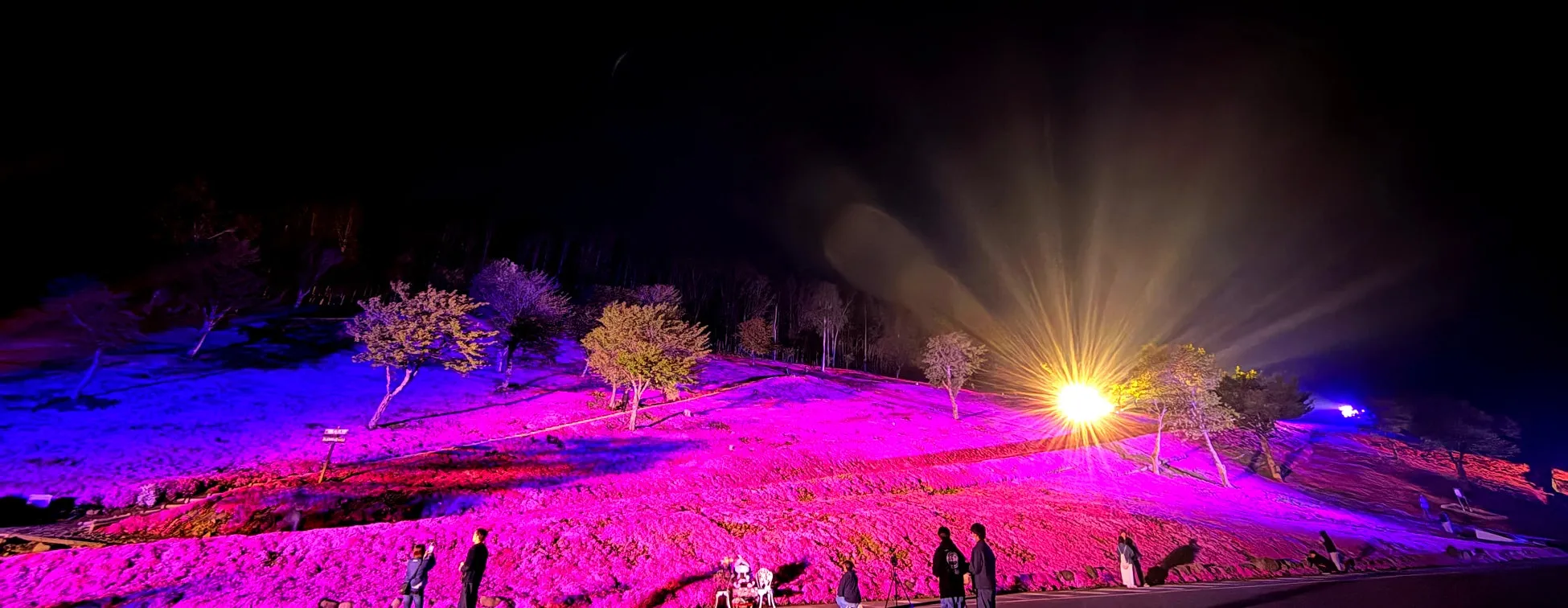 夜の丘陵地帯が、ピンク、紫、青の鮮やかな光で幻想的にライトアップされている様子