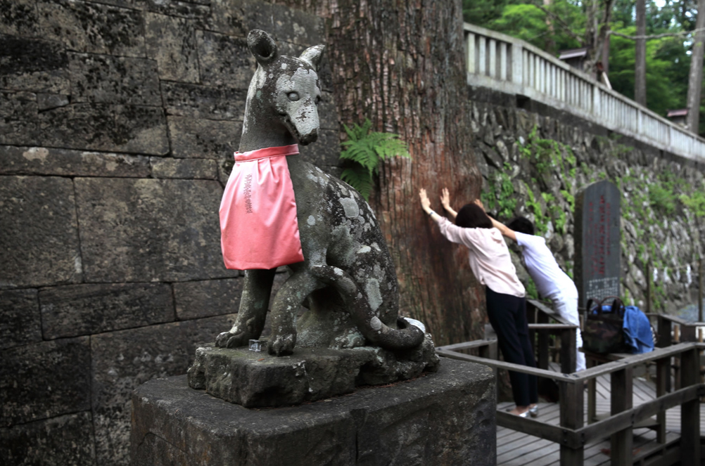 狼信仰—自然への崇拝と畏怖 第2回・お犬さま信仰の三峯神社 | めぐり 