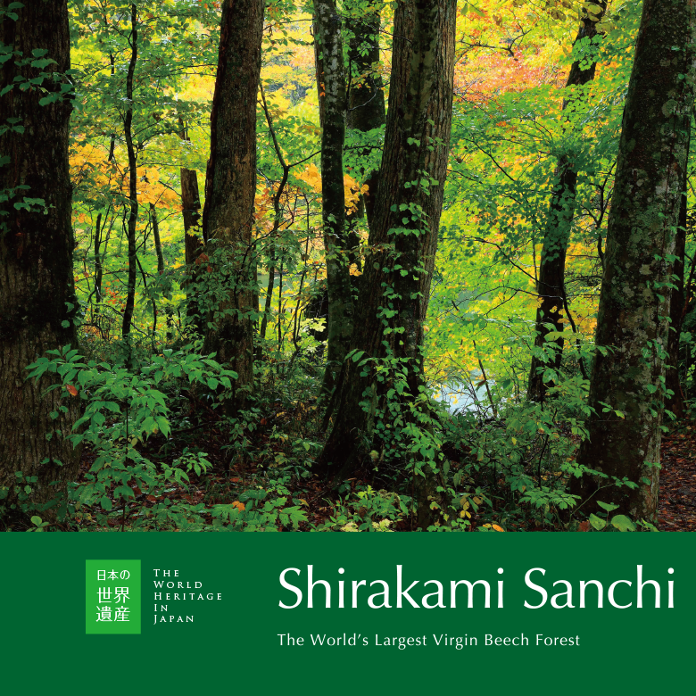 World Heritage in Japan. Shirakami Sanchi: The World’s Largest Virgin Beech Forest