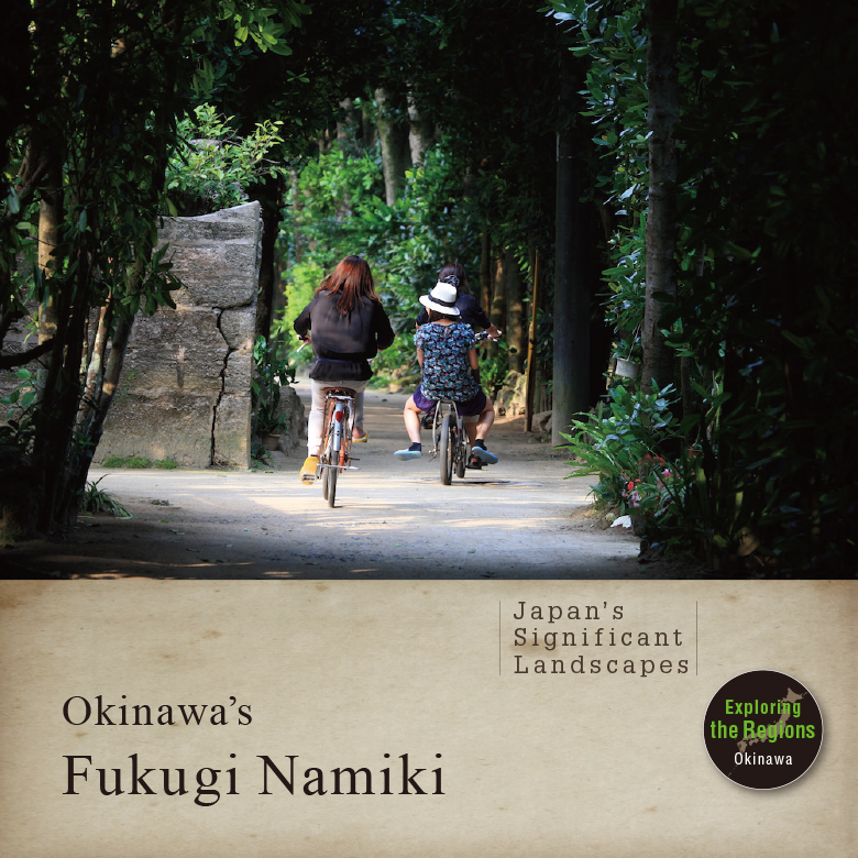 Japan’s Significant Landscapes. Okinawa’s Fukugi Namiki - Historical Tree-Lined Urban Landscape.